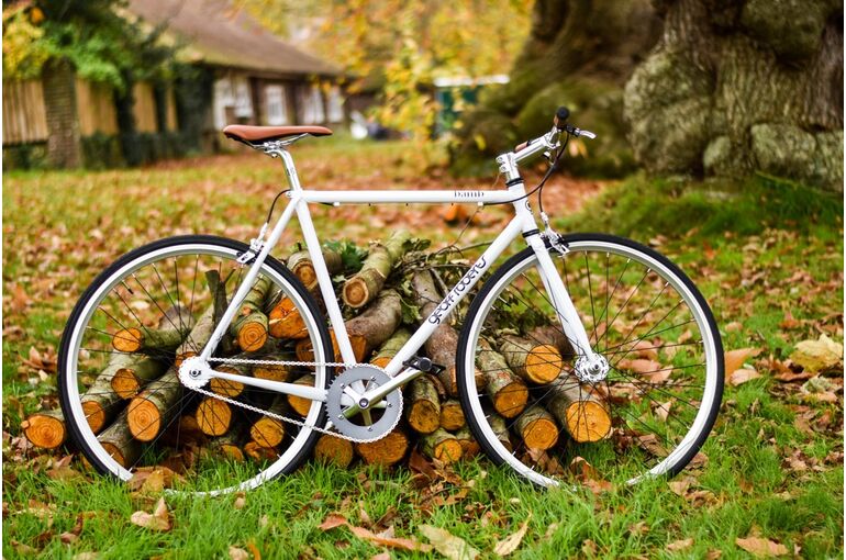 bike_cycle_road_bike_log_pile_log_stack-1396611